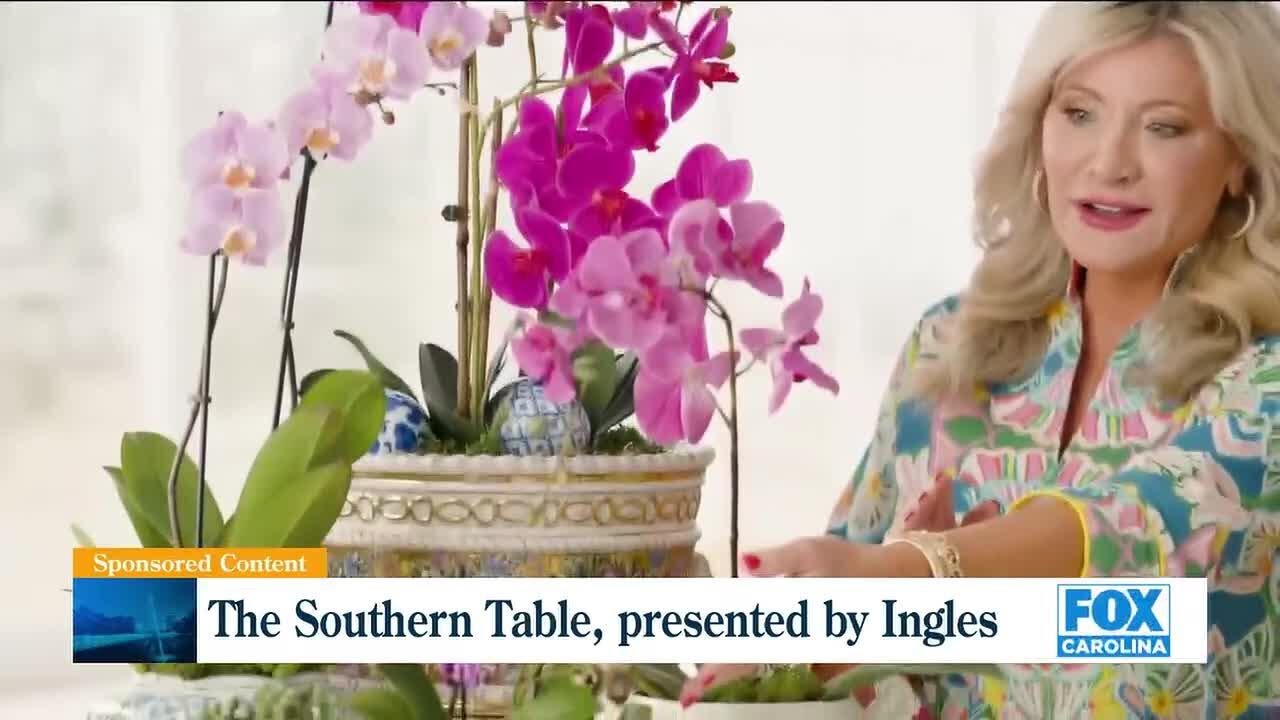 Beautify your home with orchids