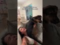 @lifewithbanjo: I really don't think this will ever change my poor ribcage lol 😂 #dog #dogvideos
