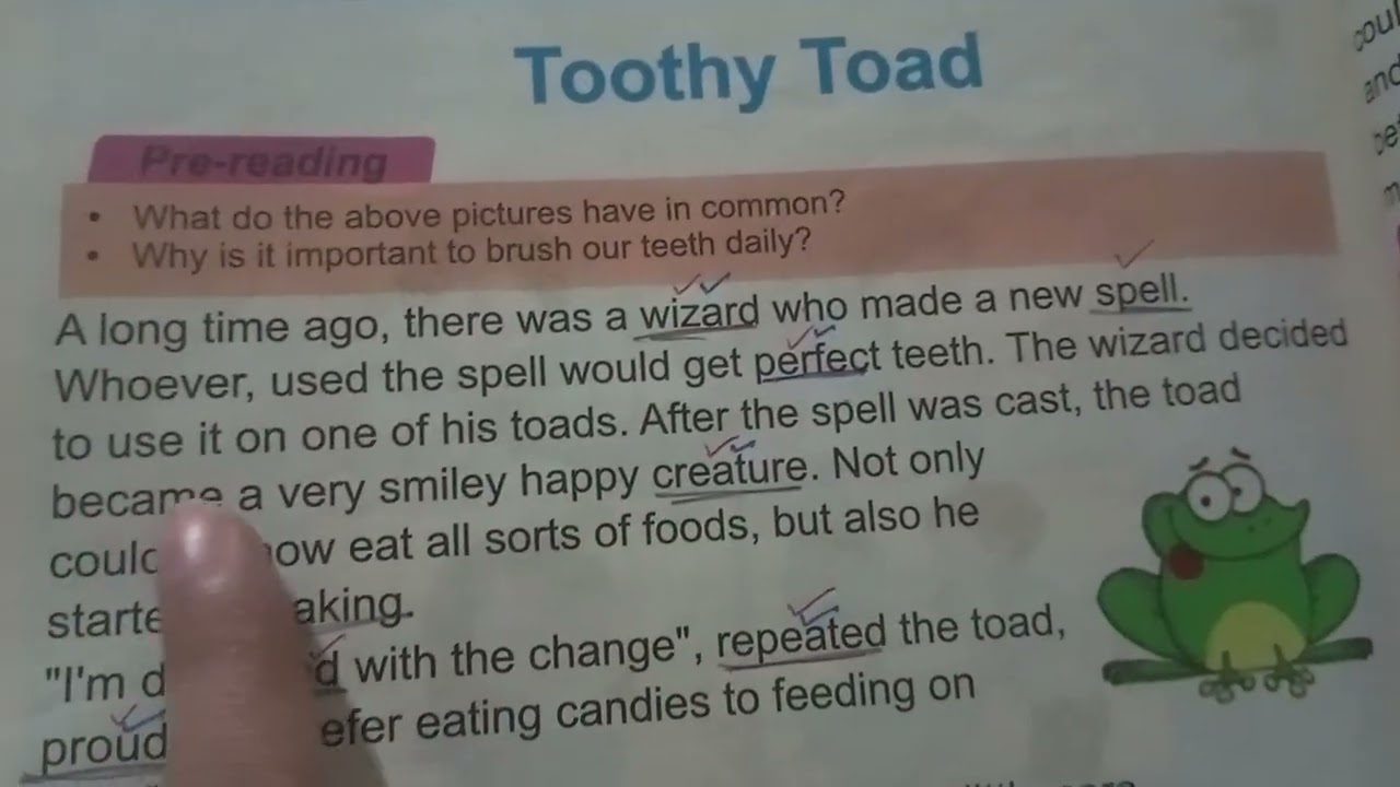 English chapter 11 reading