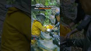 Mad Honey The World‘s Most Halogenic, Honey ￼