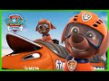 Zuma Saves a Robot Dinosaur and MORE| PAW Patrol | Cartoons for Kid