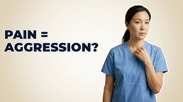 Does Discomfort Cause Aggression In Cats?