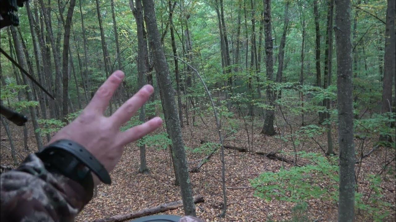 Bowhunting Opener in Massachusetts BIG BUCK ALERT! YouTube
