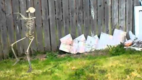 Dancing skeleton- FXGURU