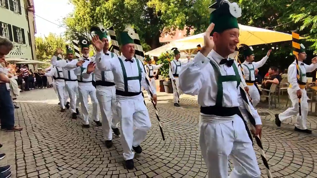 Das Ulmer Fischerstechen, 20 Juli 2025