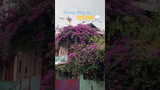 “When the clouds whisper secrets to the hills — just another rainy day in Shillong.” # #khasi “When the clouds whisper secrets to the hills — just another rainy day in Shillong.” # #khasi