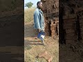 Do you need to go hiking in Tanzania or Zanzibar? follow