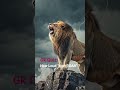 Gk Quiz Animal quiz #shorts #ytshorts #youtube #quiz #animal #braintest #animalquiz #lion #gk #sound