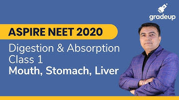 NEET 2020 | Digestion & Absorption Class 1 - Mouth, Liver, Stomach | NEET Prep | Gradeup JEE