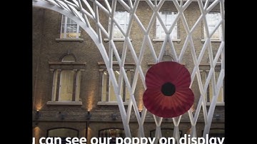 Week on the Network - 02/11/18