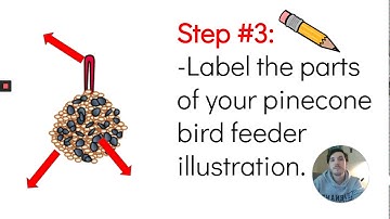 Extra Credit Assignment/Credito Extra/رصيد إضافي