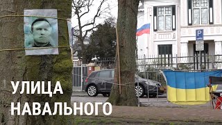 В Нидерландах Собрали Подписи, Чтобы Назвать В Честь Навального Улицу У Посольства России В Гааге