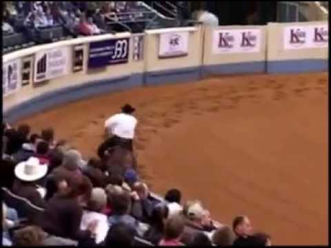 David ROUX - 2007 NRHA Fei Wold Reining Masters