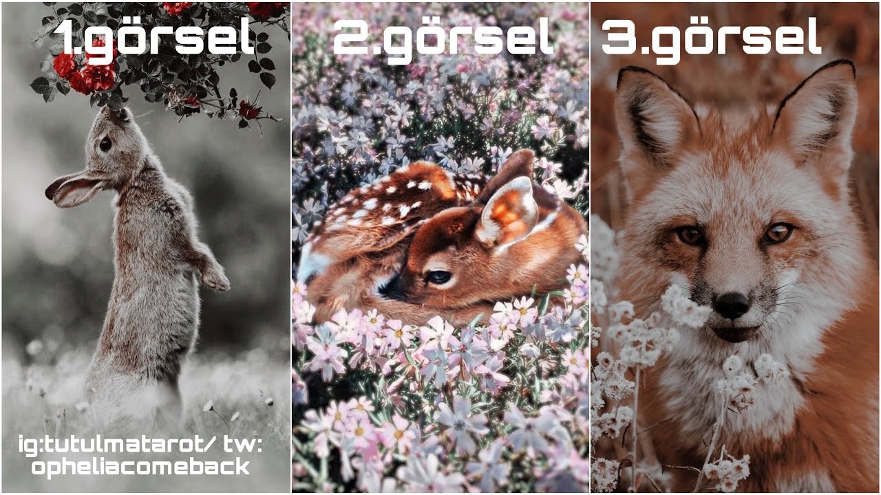 • SENİ NASIL BİRİ OLARAK GÖRÜYOR • FİZİKSEL OLARAK BEĞENİYOR MU • KARAKTERİNİ NASIL DEĞERLENDİRİYOR