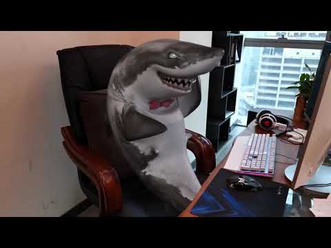 the-shark-watching-tom-and-jerry-in-my-office.-@funny-animal-vines