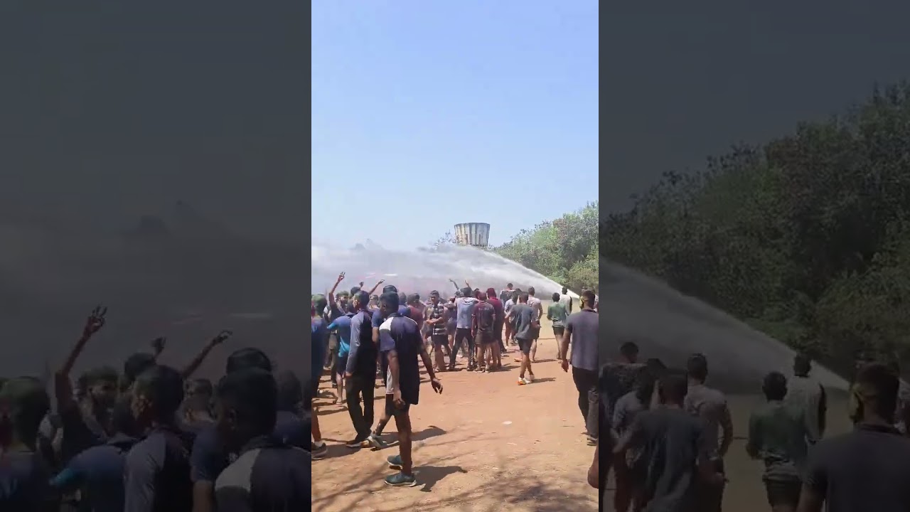 Indian Navy Holi celebration, Indian Navy holi, Indian navy holi dance