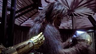 Chewbacca Begins To Reemble C3Po 1080P
