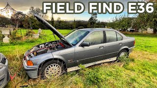 Buying a field find BMW E36 - how bad is it?