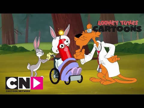 SEVİMLİ KAHRAMANLAR HİKAYELER | Puma Sorunları | Cartoon Network Türkiye