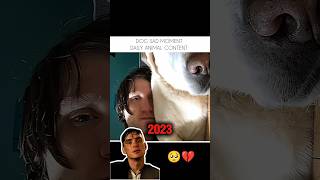 𝗧𝗿𝘆 𝗡𝗼𝘁 𝗧𝗼 𝗖𝗿𝘆 💔🐶 (𝗠𝗼𝘀𝘁 𝗘𝗺𝗼𝘁𝗶𝗼𝗻𝗮𝗹 𝗗𝗼𝗴 𝗩𝗶𝗱𝗲𝗼) #𝘀𝗵𝗼𝗿𝘁𝘀