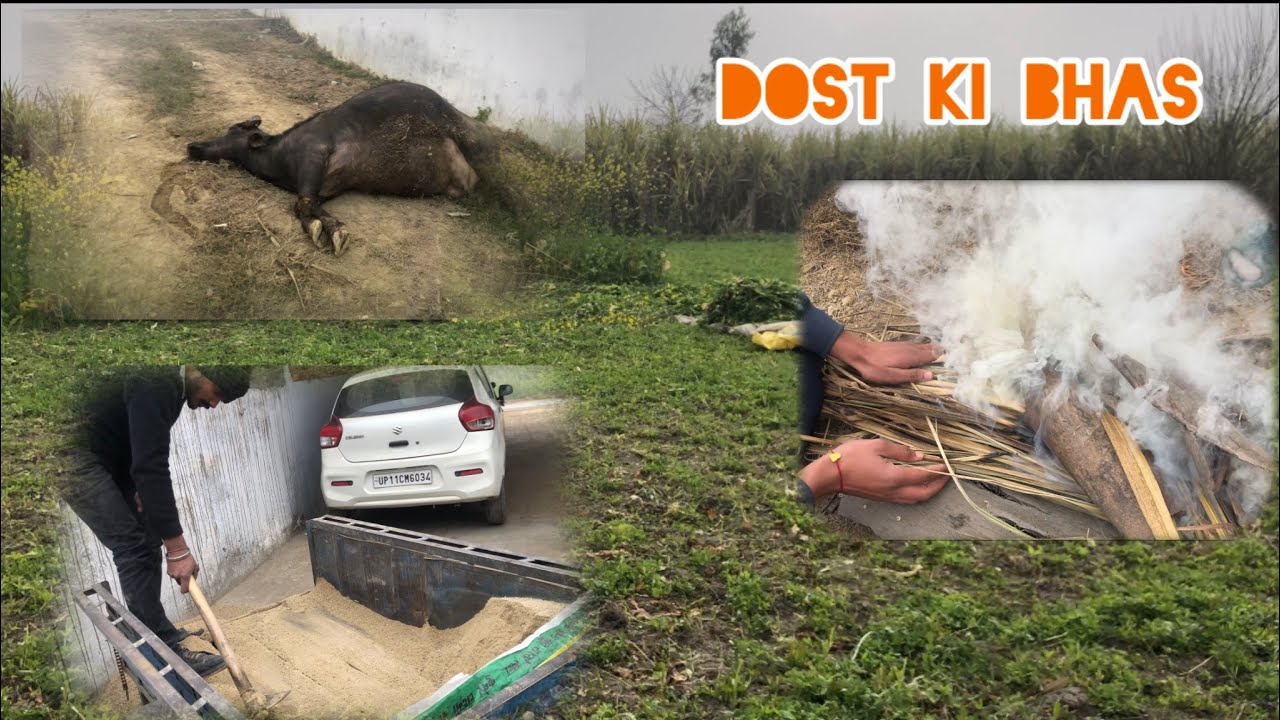 Dost ki bhas ko aj heart attack Agya 😱