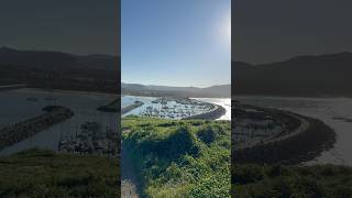 Muttonbird Island at Coffs Harbour.