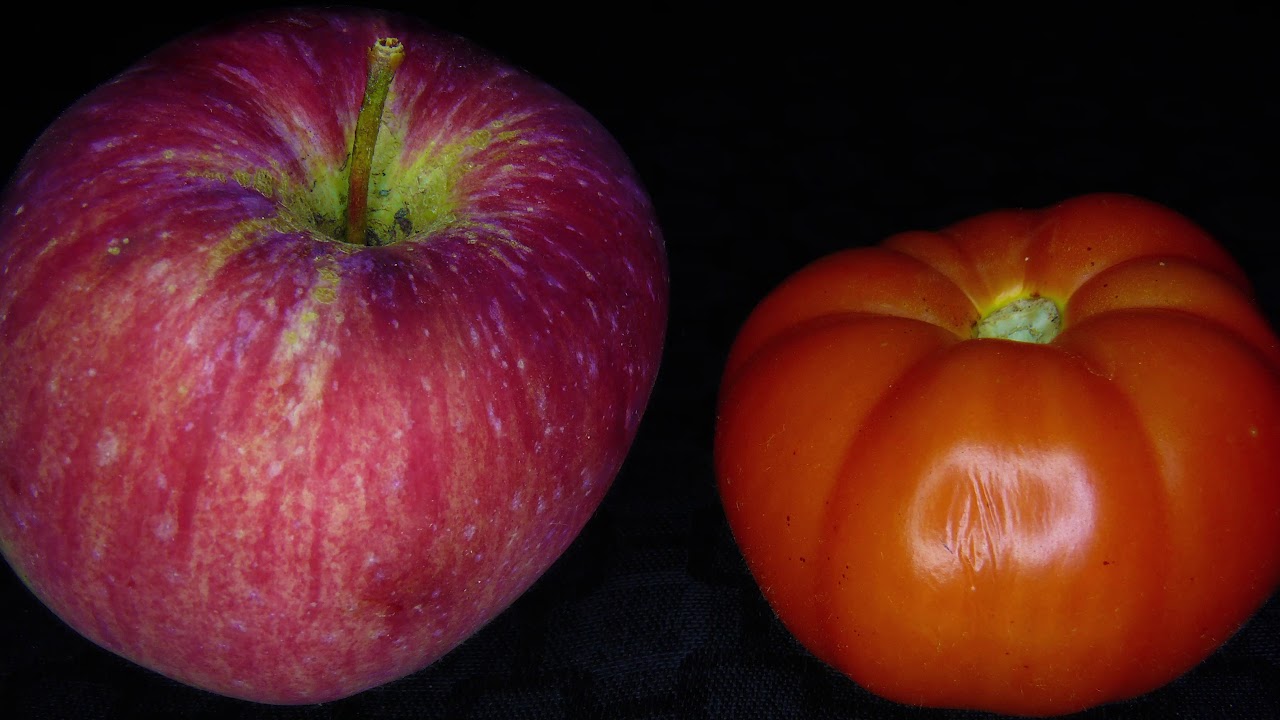 A Tomato and an apple ripening YouTube