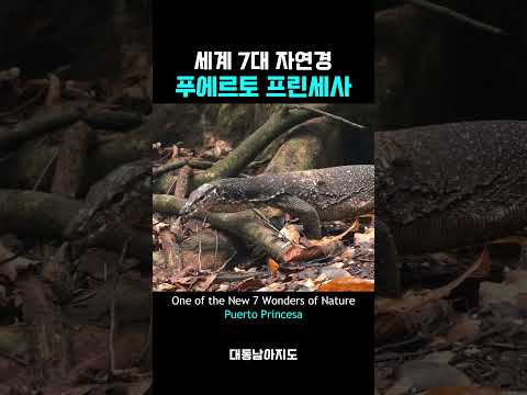 팔라완 필수 코스 인생 여행지 TOP3