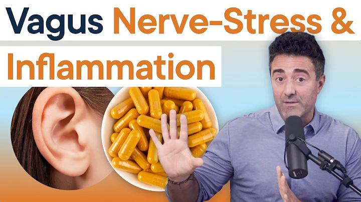 4 Powerful Vagus Nerve Tools to Rewire Your Nervous System