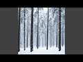 A Cold Forest 
