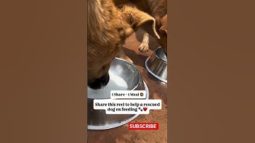 Click the link in our bio to support. Every pledge helps and is truly appreciated! #donate #love