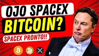 🔴 EN VIVO: ¿CAERÁ MÁS BITCOIN HOY? 👉 Cuenta atrás SPACEX
