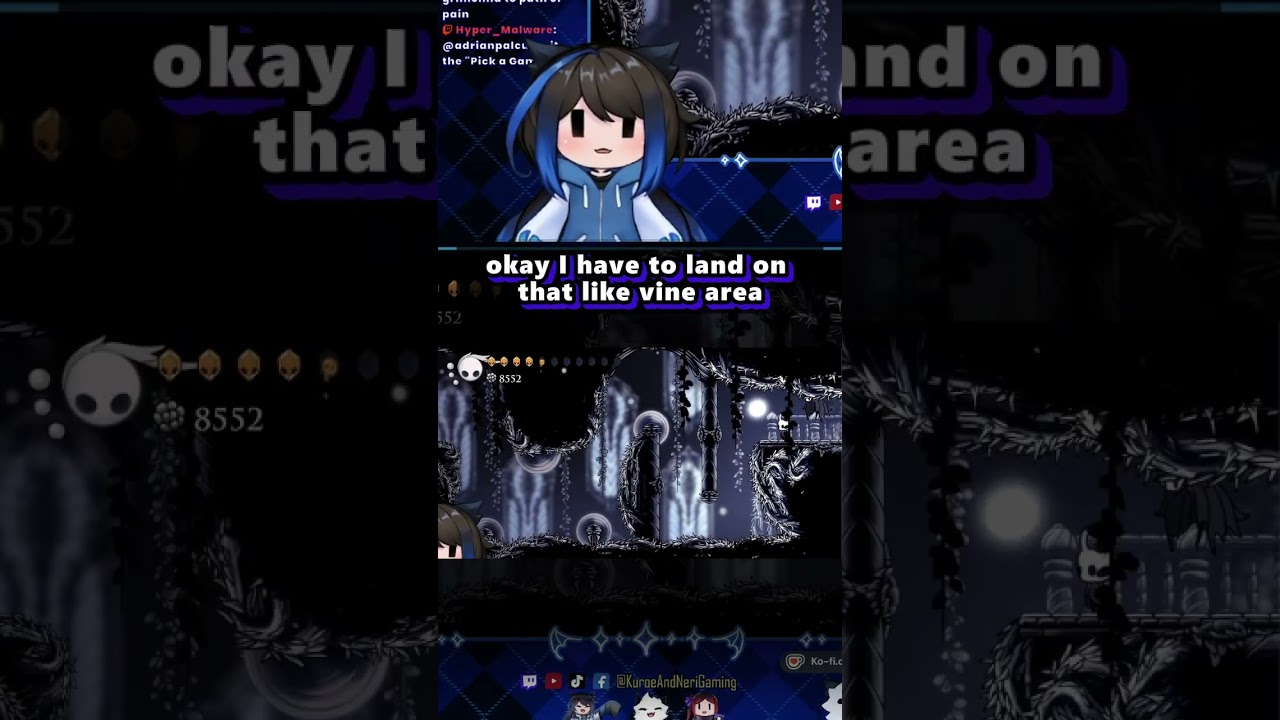 THE PATH OF PAIN EXPERIENCE 