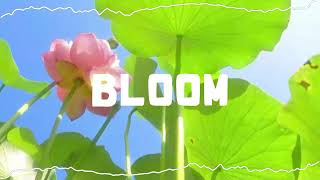 BLOOM (Official Visualizer)