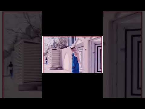 ناصر القصبي