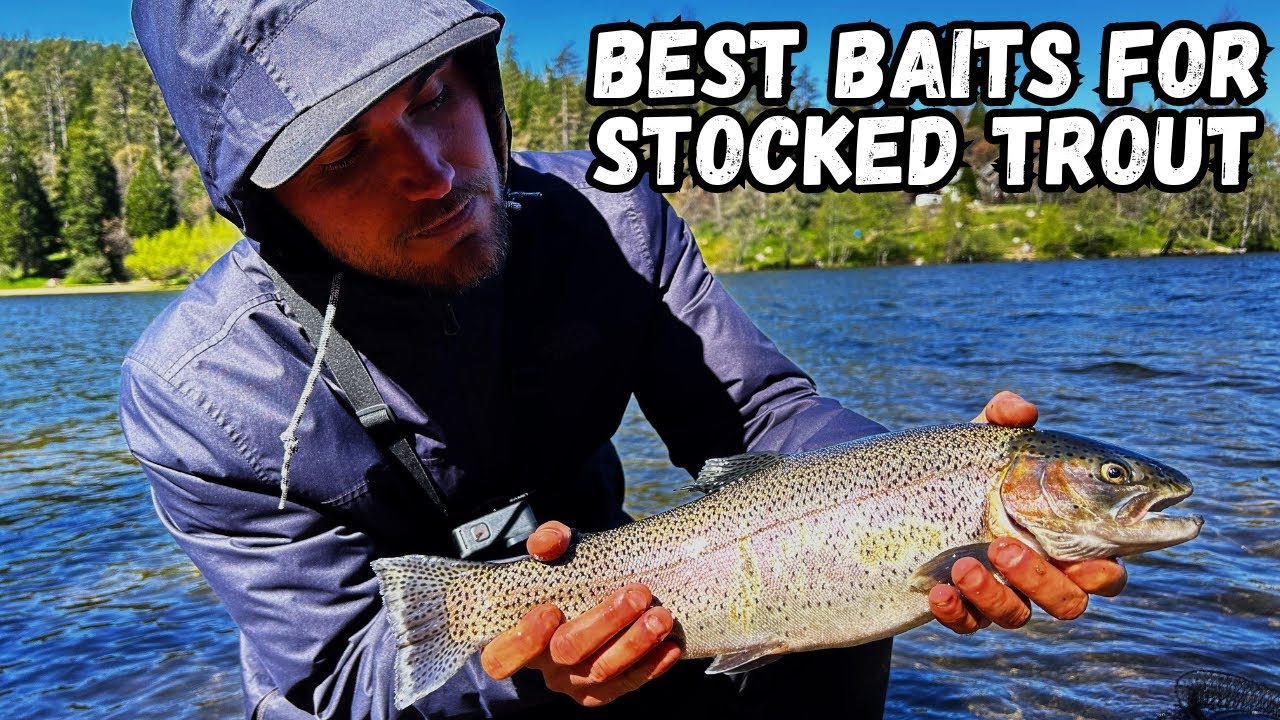 Best Baits for Stocked Trout Fishing Lake Gregory YouTube
