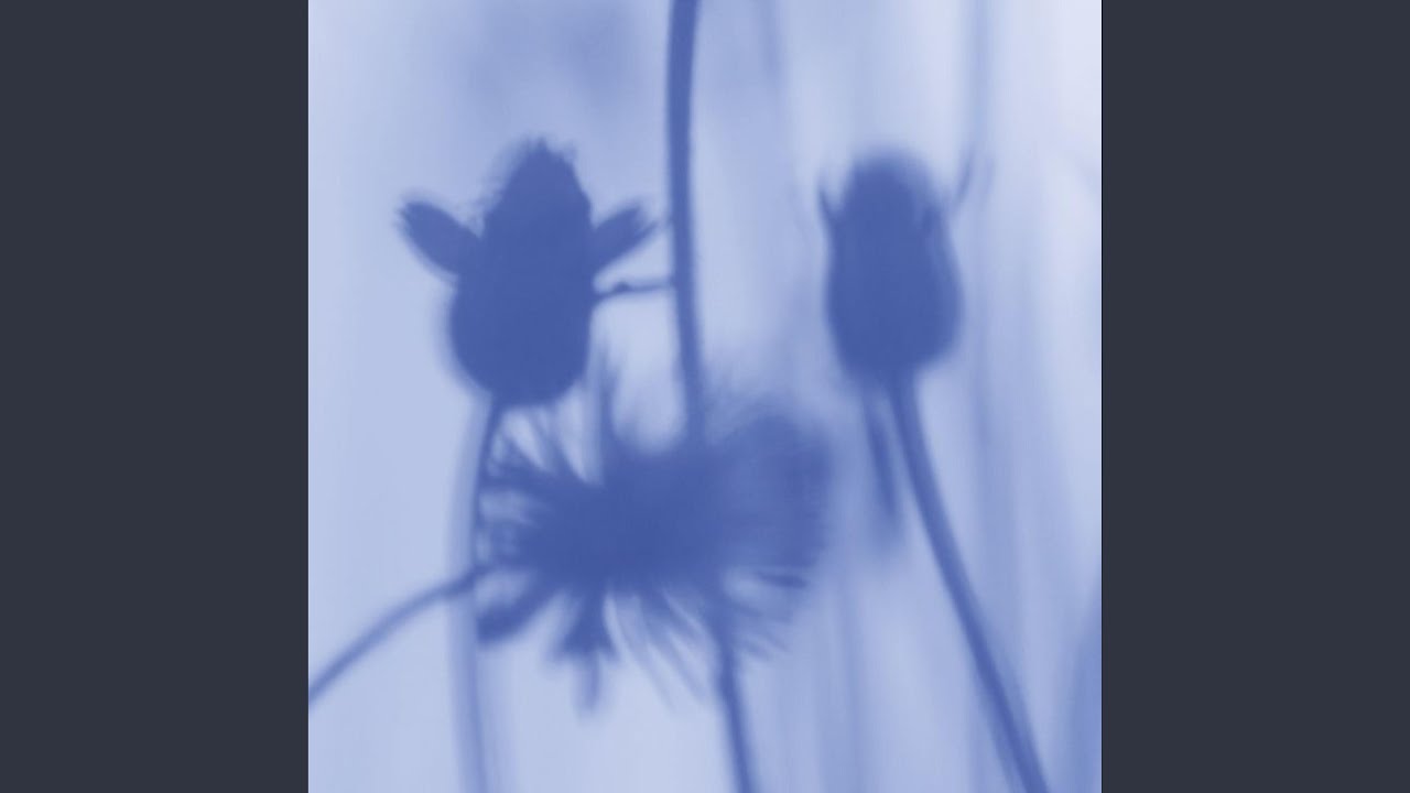  - YouTube Auto PHP Script