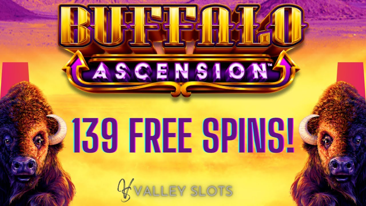 Did We Seriously Get 139 Free Spins on Buffalo Ascension Plus a Huge Stampede Win?
