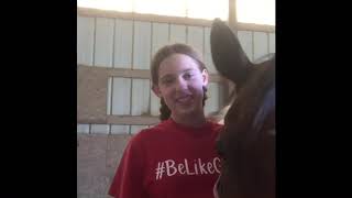 AQHA Young Horse Development Program 2023 application