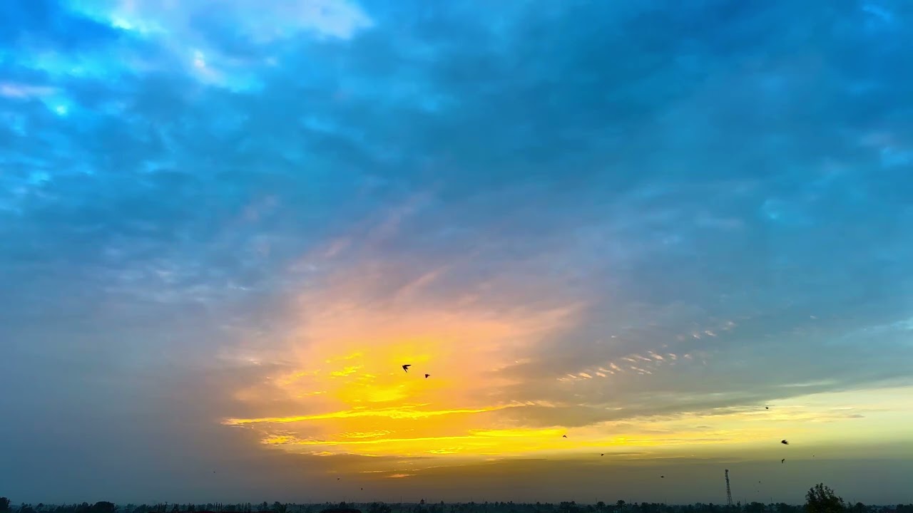 WOW…Best WhatsApp Status Morning Sunlight – 50 Sec of Peace ✌️♥️