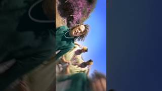 Half a million strong on @spotify! GO STREAM OUR NEW SONG ‘BLOOM’ we did with our friends @train 💐