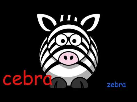 Spanish Word For Zebra