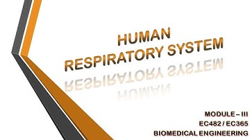 HUMAN RESPIRATORY SYSTEM | EC482 | EC365 | BIOMEDICAL ENGINEERING | MODULE 3 | KTU