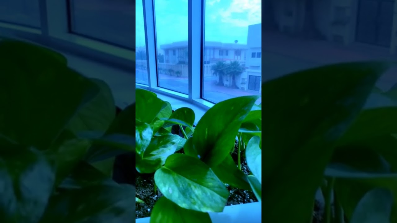 إلى كل مبتلى