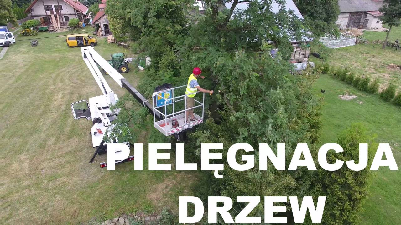 ALPITECH - usługi zwyżką 24m Rzeszów