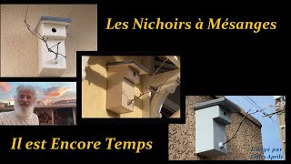 Les Nichoirs à Mésanges