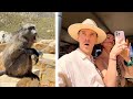 We went on a Safari & the baboons caused chaos