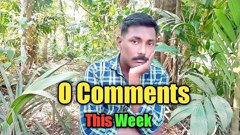 Sunday Comment Box || 0 Comments || Mallu Rider ||