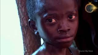 #7-Net Zero Insanity: How Climate Policies Are Failing Us