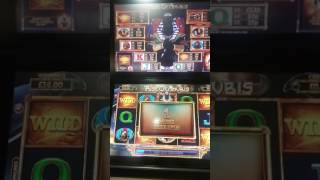 Rise of anubis william hill